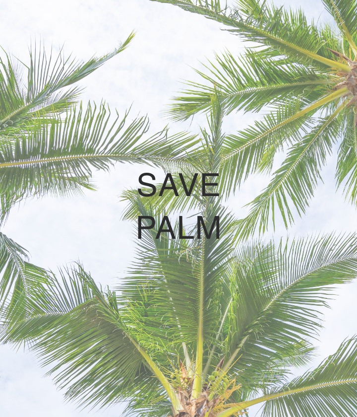 SAVE PALM