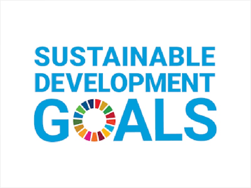 持続可能な開発目標SDGs